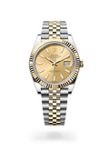 Rolex Watch Collection